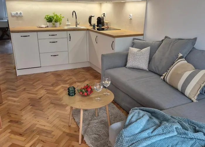 Debniki Park Apartament